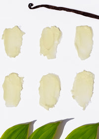 Veil Of Venus Triple Butter Body Butter